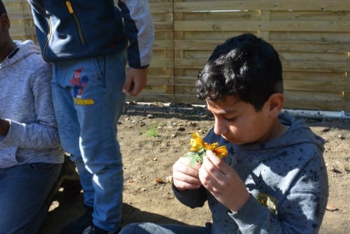 2021-11-Apprivoiser-l-espace-vert-003