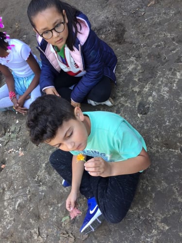 2021-11-Apprivoiser-l-espace-vert-011