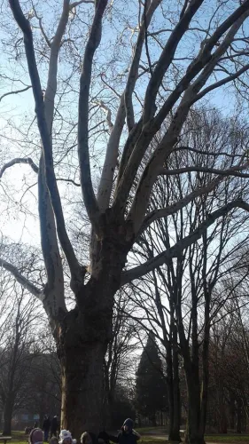 2019-11-Vivre-des-activites-dans-la-nature-006