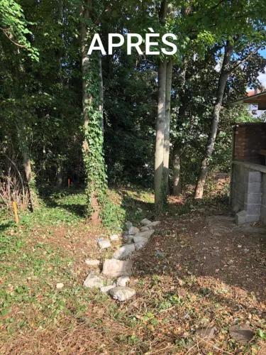 2020-08-Osons-le-vert-001