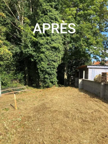 2020-08-Osons-le-vert-002