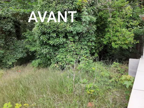 2020-08-Osons-le-vert-005