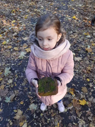 2020-12-Balade-Automne-002