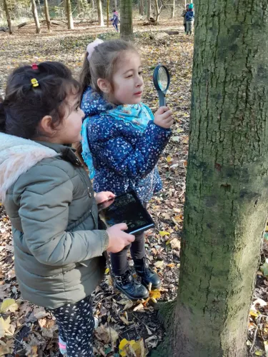 2020-12-Balade-Automne-012