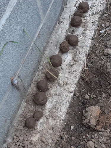 2021-09-Un-jardin-004