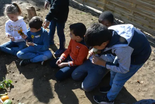 2021-11-Apprivoiser-l-espace-vert-002