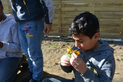 2021-11-Apprivoiser-l-espace-vert-003